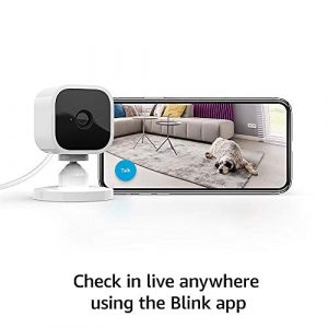 Blink Mini – Compact indoor