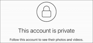 how to view private instagram photos online
