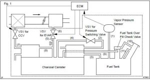 Toyota Evaporative Emission Control System