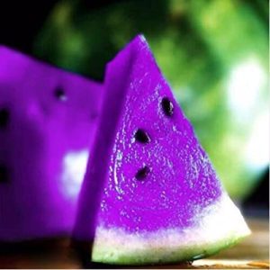 purple-watermelon slice