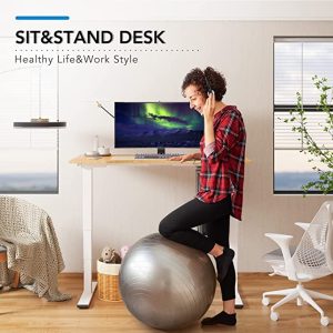 Sit And Stand Desks